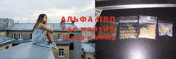 стафф Вяземский