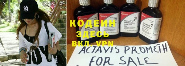 стафф Вяземский