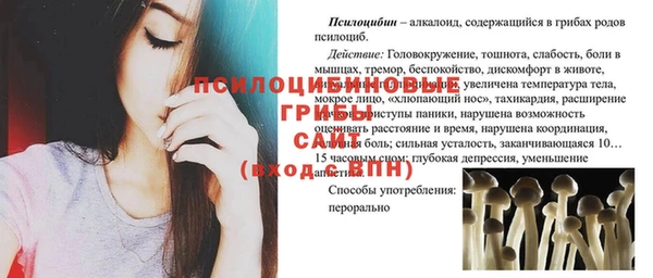 гашик Вязники